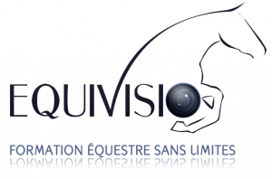 Equivisio logo