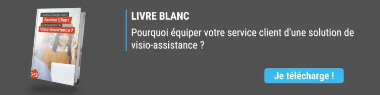 Bannière livre blanc visio-assistance